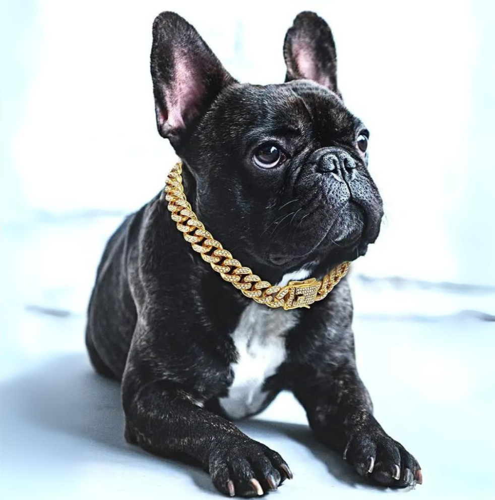 BlingPaws • Dog Gold Chain Collar