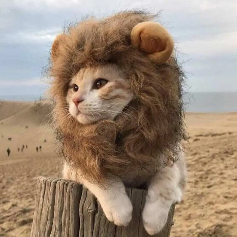 BowLift | Pet Simulation Lion Mane