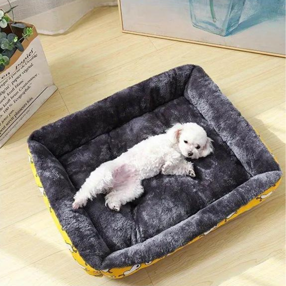 Pawsome Comfort • Plush & Durable Sleeping Spot