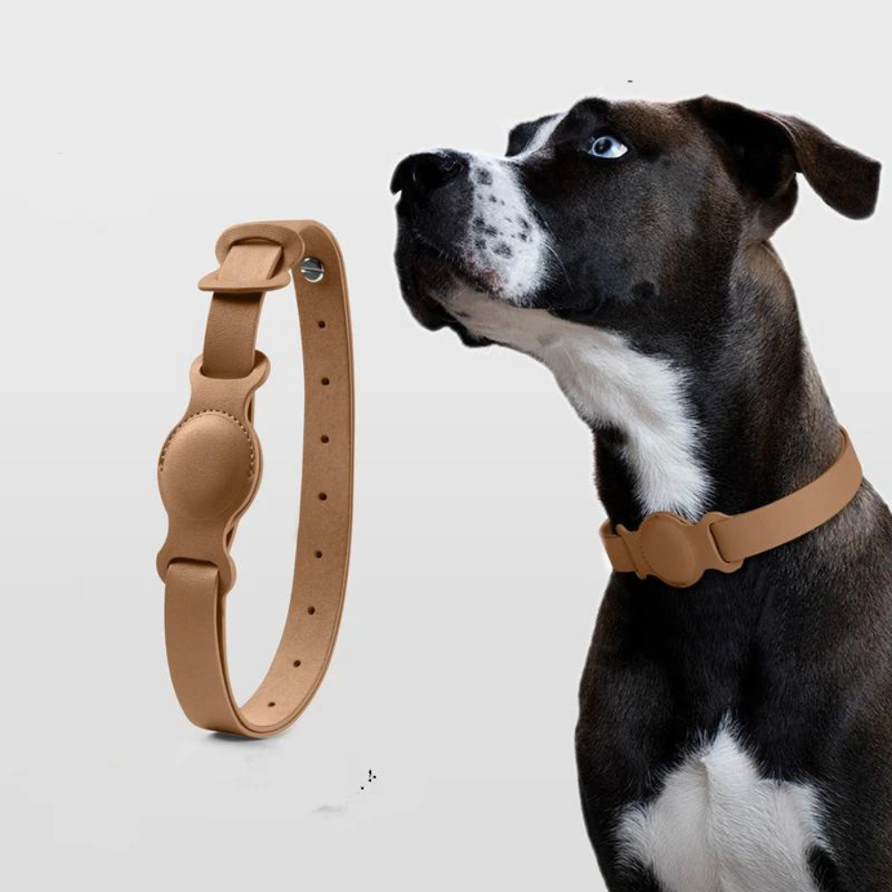 LuxeLeather • AirTag Dog Collar