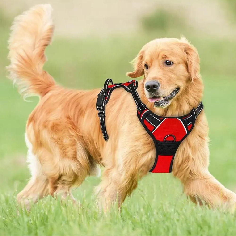 PowerPaw  • No Pull Dog Harness