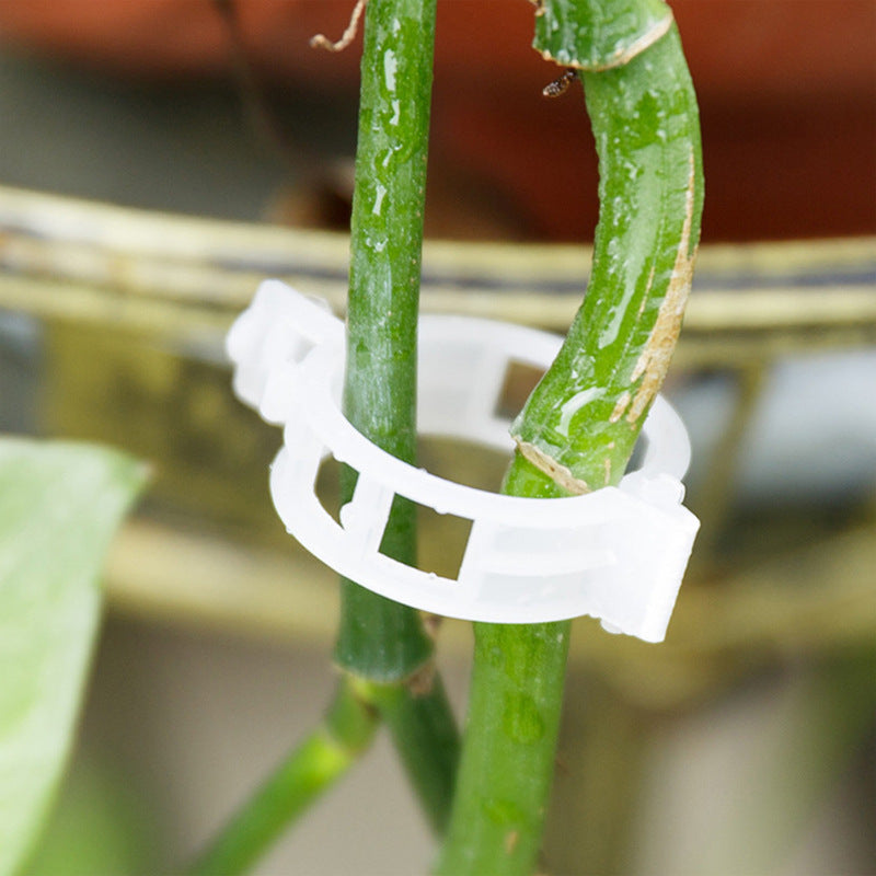 BowLift | Plant support clips
