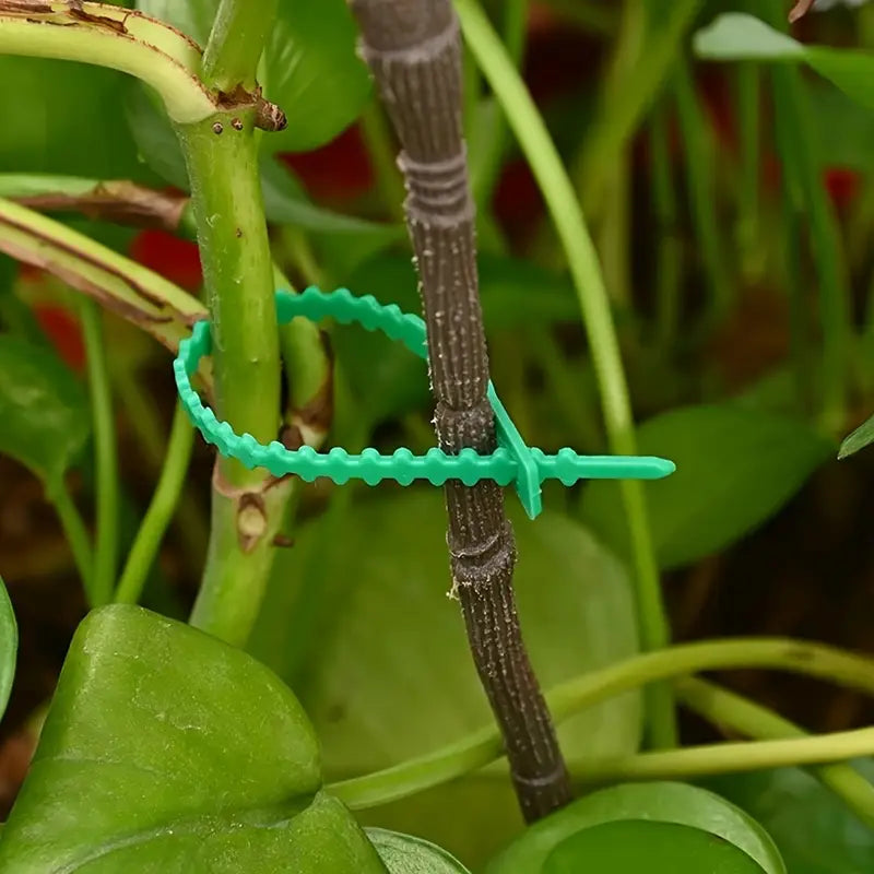 BowLift | Plant fastening cable tie set for stable securing of plants