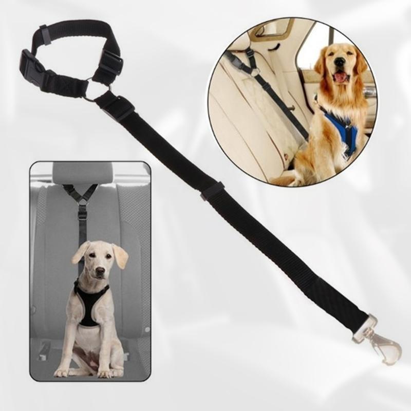 BowLift | Adjustable Car Dog Leash
