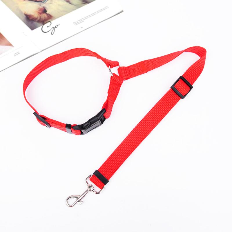 BowLift | Adjustable Car Dog Leash