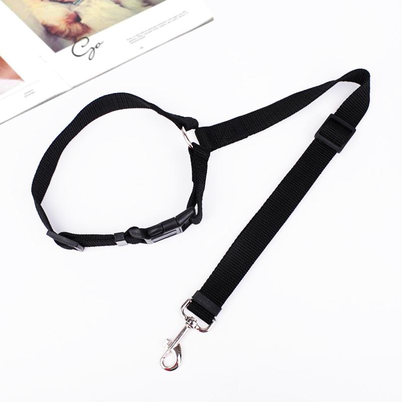 BowLift | Adjustable Car Dog Leash