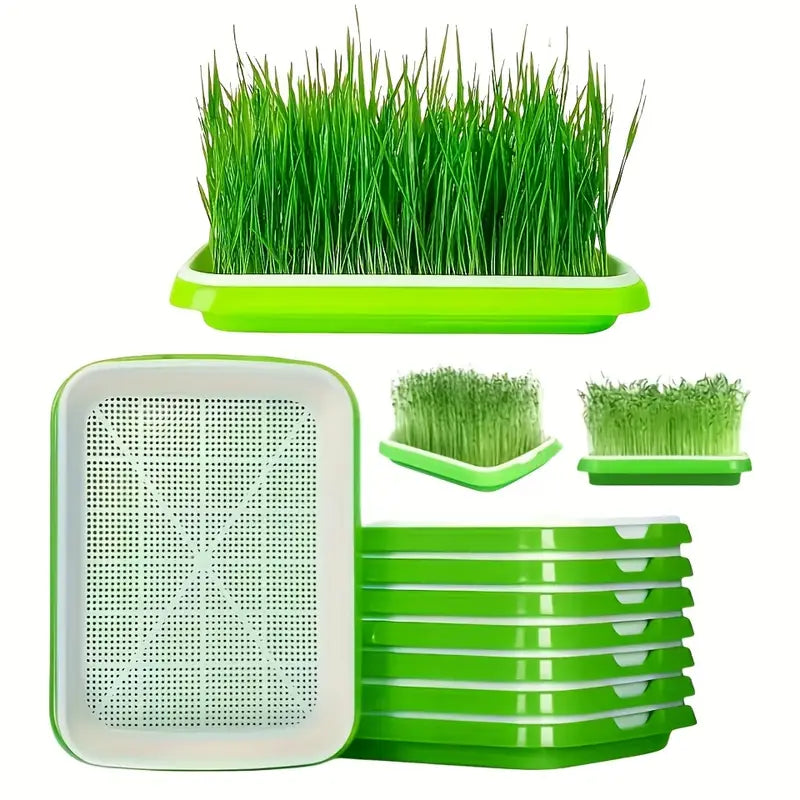 BowLift | Germination trays with lid – Double-layer seed sowing tray for effective seed germination