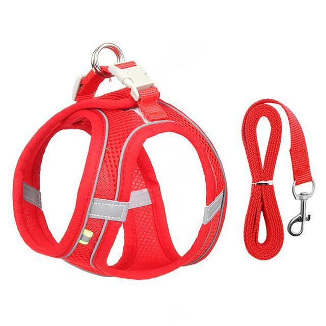 BowLift | Adjustable Harness and Leash Set for Small Dogs and Cats