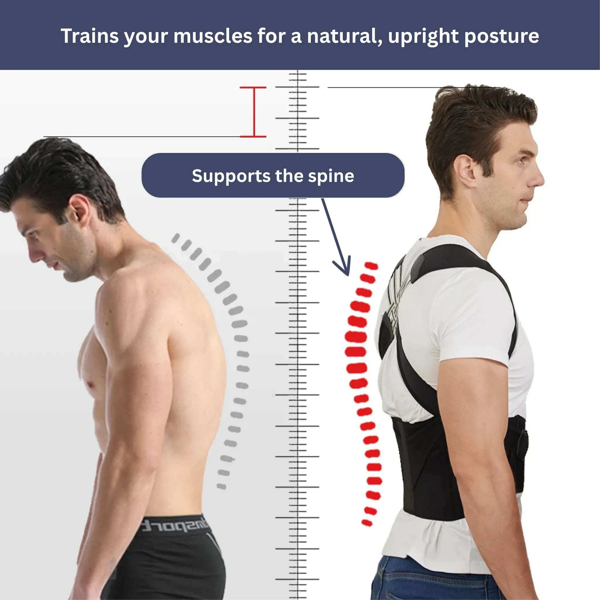 BowLift | Back Support and Posture Corrector | Adjustable, Comfortable & Ideal for Improving Confidence and Posture