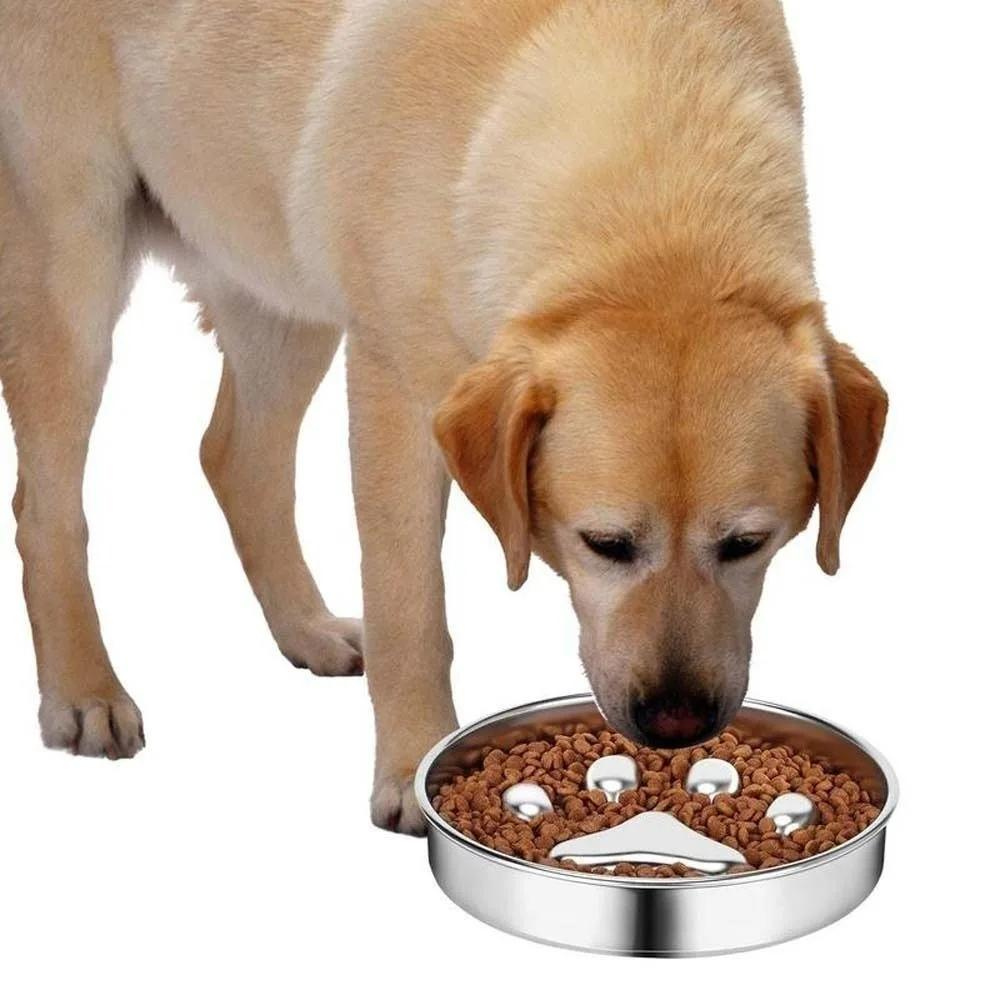 SlowFeast • Dog Feeding Bowl Slow