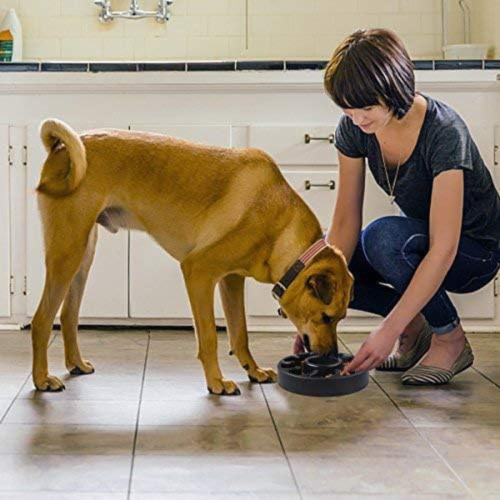 PawSlow • Dog Feeding Bowl Slow