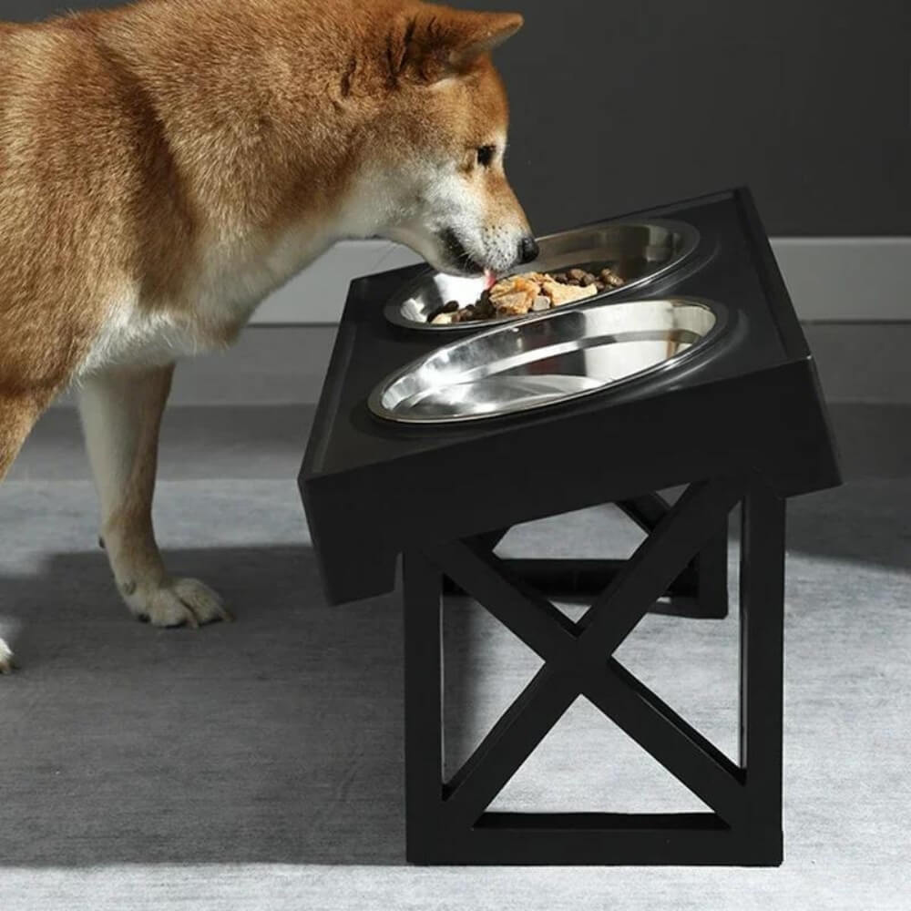 PupLift | The Elevated Dog Bowl