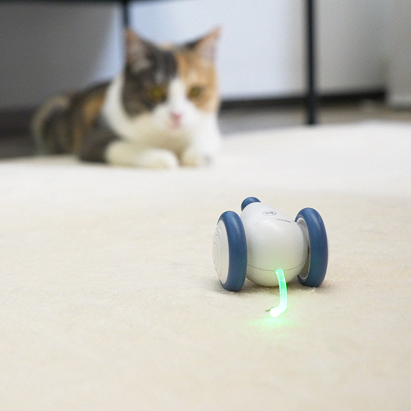 BowLift | Electric Smart Cat Toy