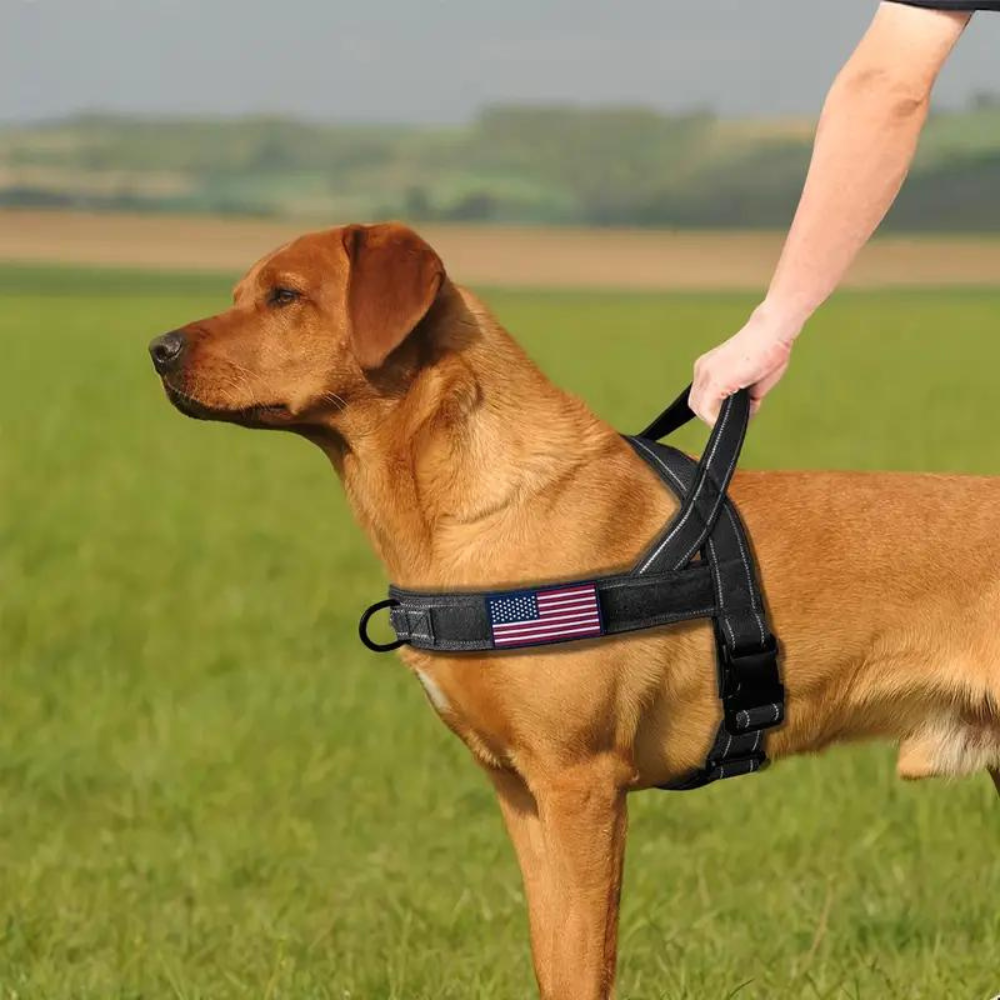 PatriotGuard •  No Pull Dog Harness