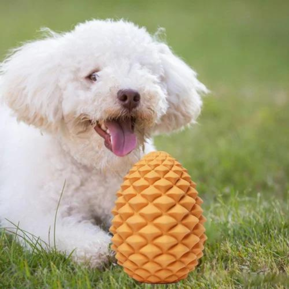 PineCone •  Interactive Rubber Dog Toy