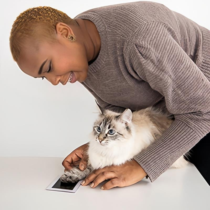 BowLift | Pet Paw Printing Kit