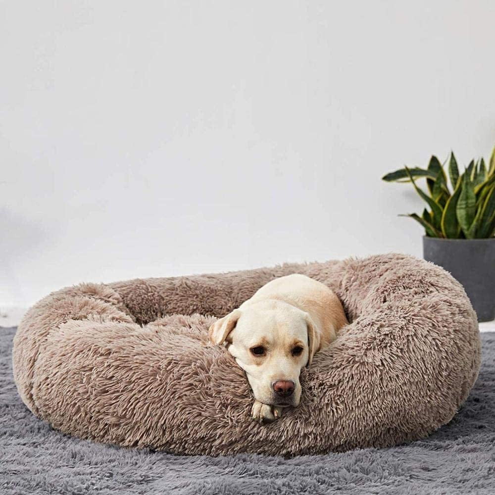 BowLift | Calming Dog Bed