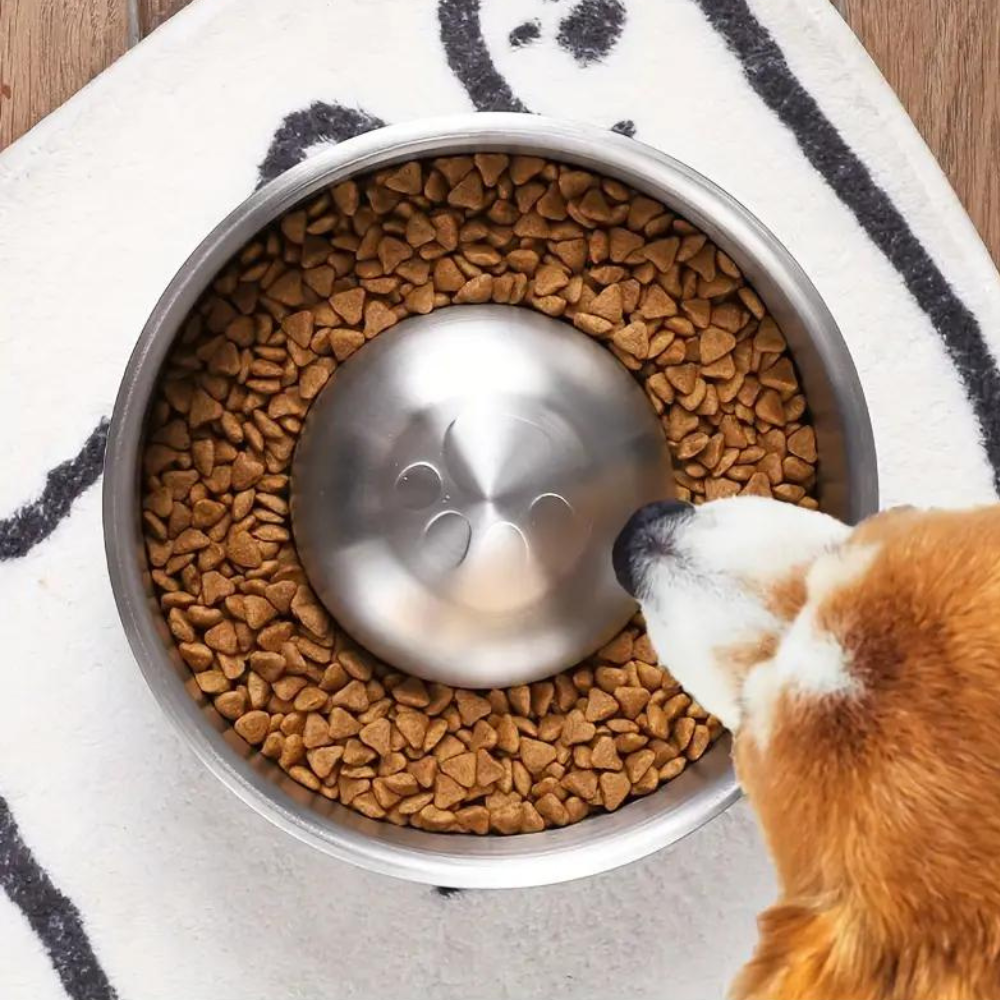 MealPace • Dog Feeding Bowl Slow