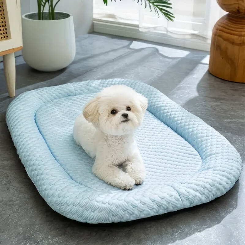 ChillPaws • Cooling Dog Bed