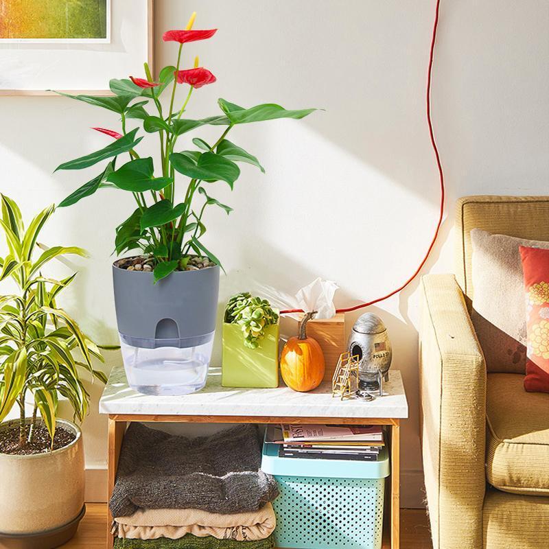 BowLift | Self-watering Hydro-Flower Pot