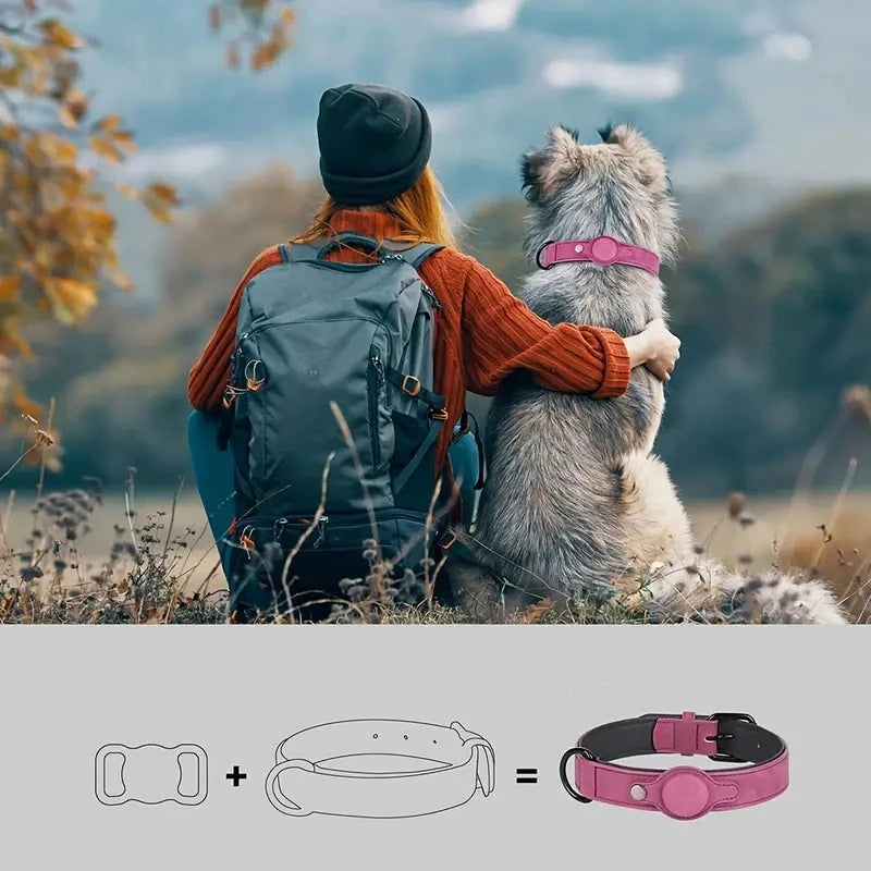 PetSafe • AirTag Dog Collar