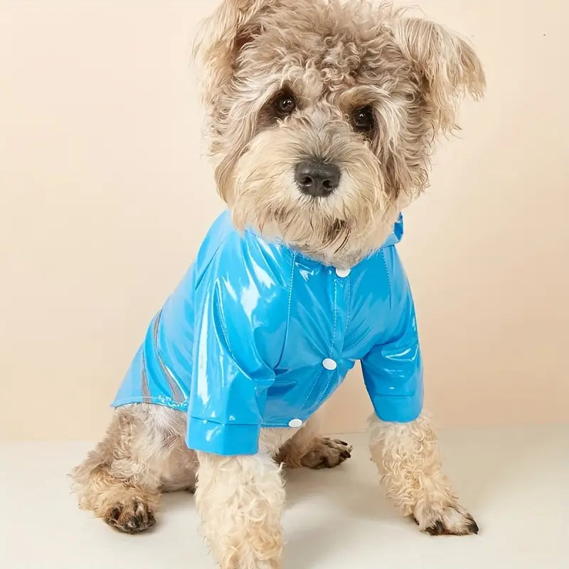 PupShield • Reflective Raincoat