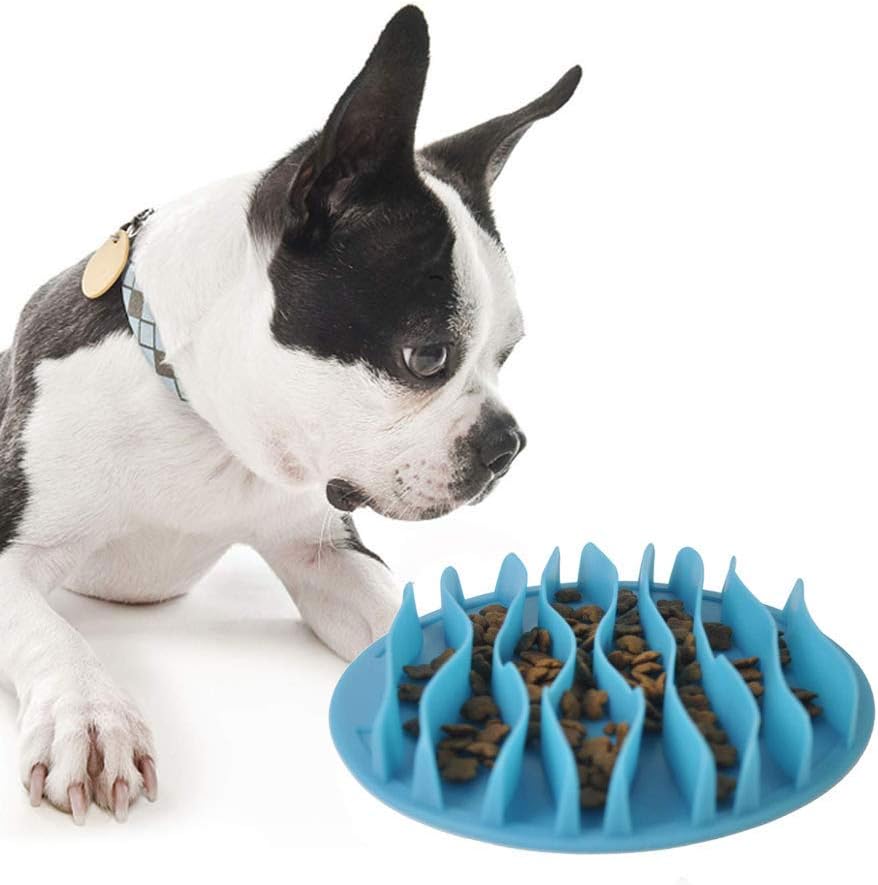 JungleMaze • Dog Feeding Bowl Slow