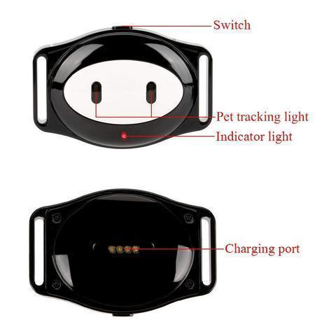 BowLift | GPS Waterproof Pet Tracker