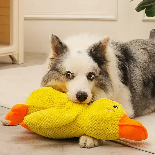 BowLift | Calming Duck Dog Toy