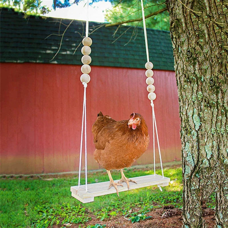 BowLift | Chicken Swing Toy