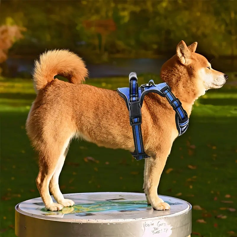 TotalControl •  No Pull Dog Harness