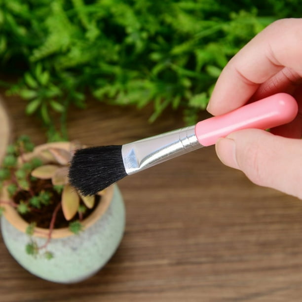 BowLift | Combination set for succulent planting tools – Practical set for care and planting