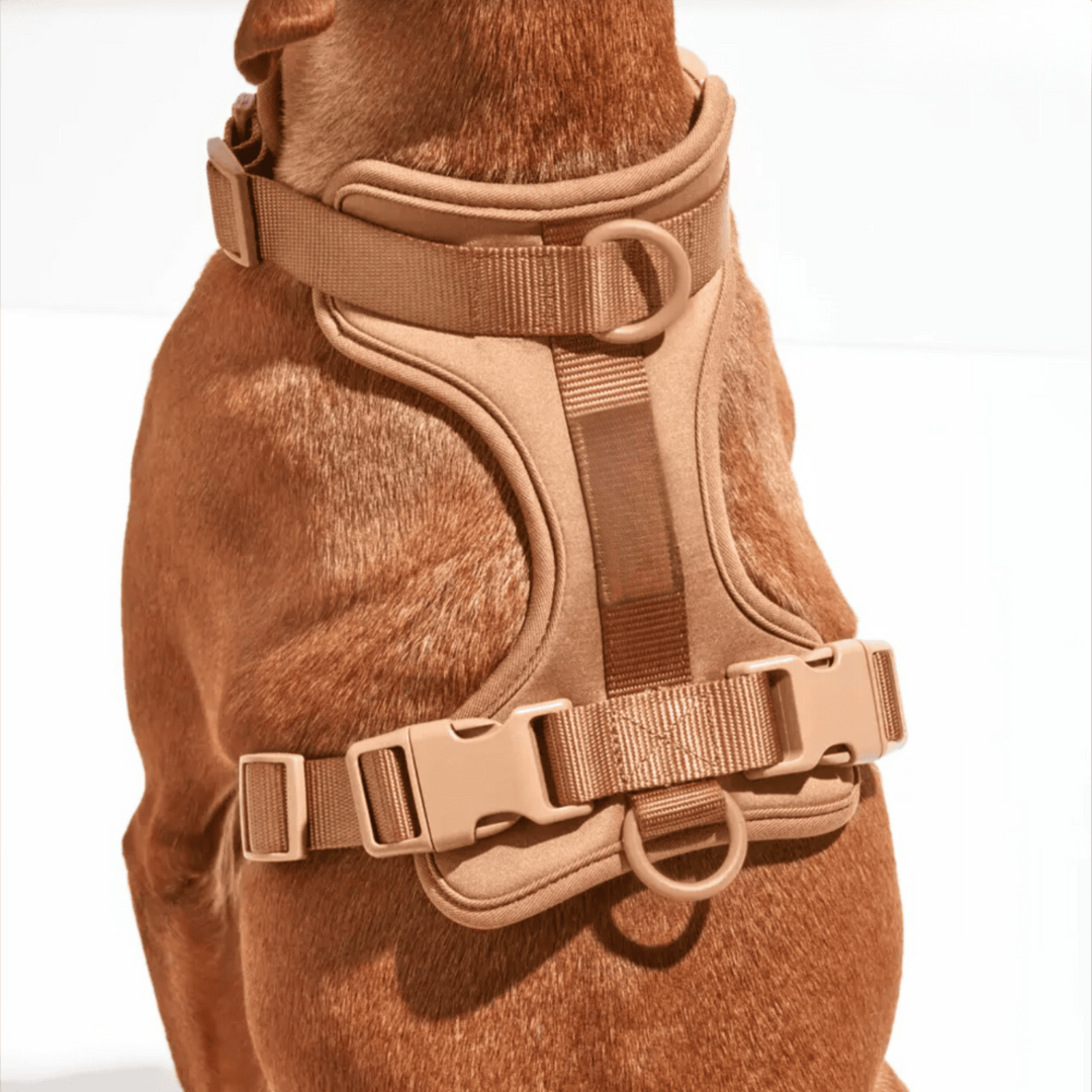 BowLift | ComfyPaws Dog Harness Walking Set with Leash and Poop Bag Holder