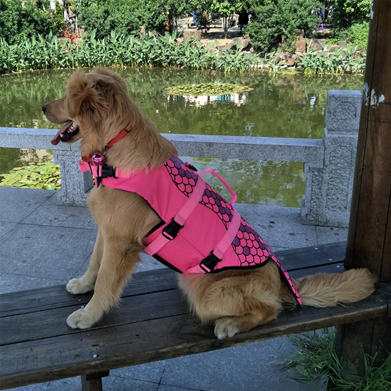 BowLift | Dog Swim Safety Jacket