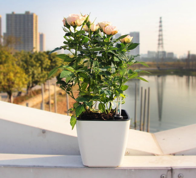 BowLift | Flower pot with irrigation system – Self-watering plant pot for indoor and outdoor use