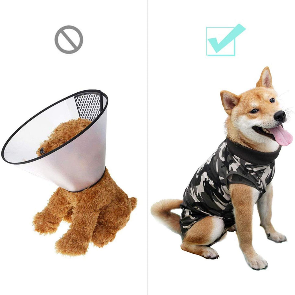 SurgiGuard • Anti-Licking Dog Recovery Suit