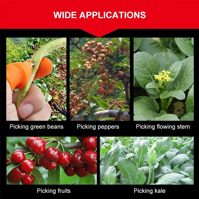 BowLift | (50% Off Today) Harvest vegetables, harvest fruits thumb measure