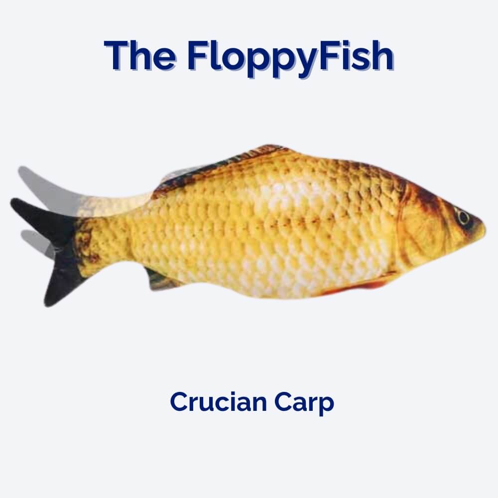 The FloppyFish • Interactive Dog Toy