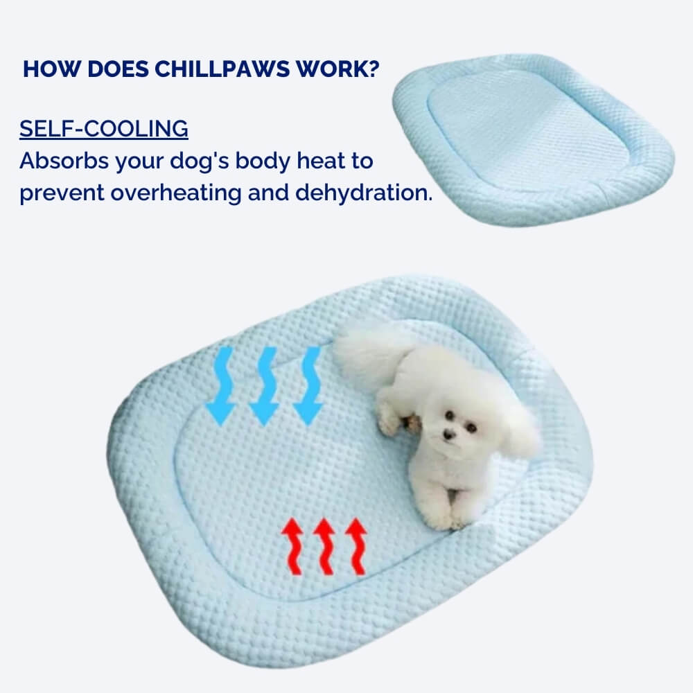 ChillPaws • Cooling Dog Bed