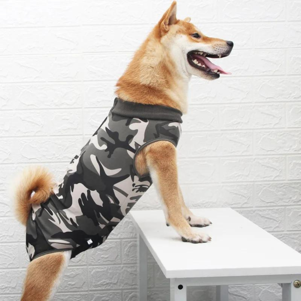 SurgiGuard • Anti-Licking Dog Recovery Suit