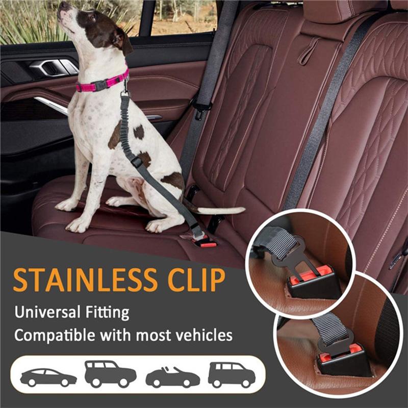 BowLift | Adjustable Safety Belts for Dogs