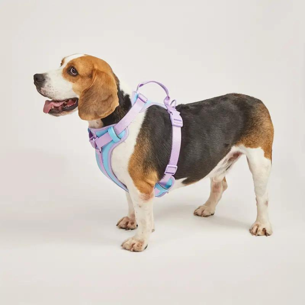 EasyWalk •  No Pull Dog Harness