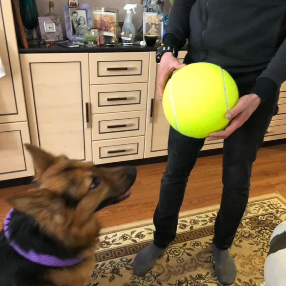 MegaFetch • Dog Tennis Ball