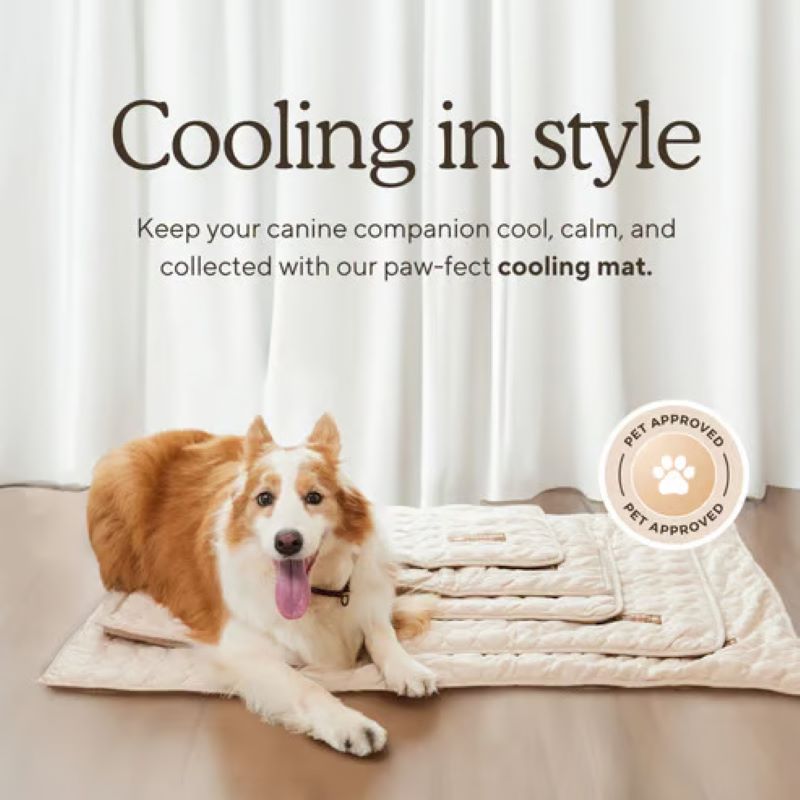 BowLift | Cooling Mat for Dogs (4x More Effective)