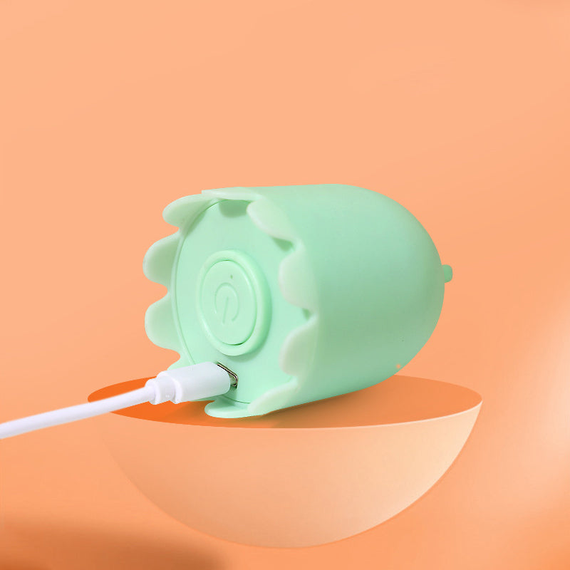 BowLift | Indoor Cat Toy