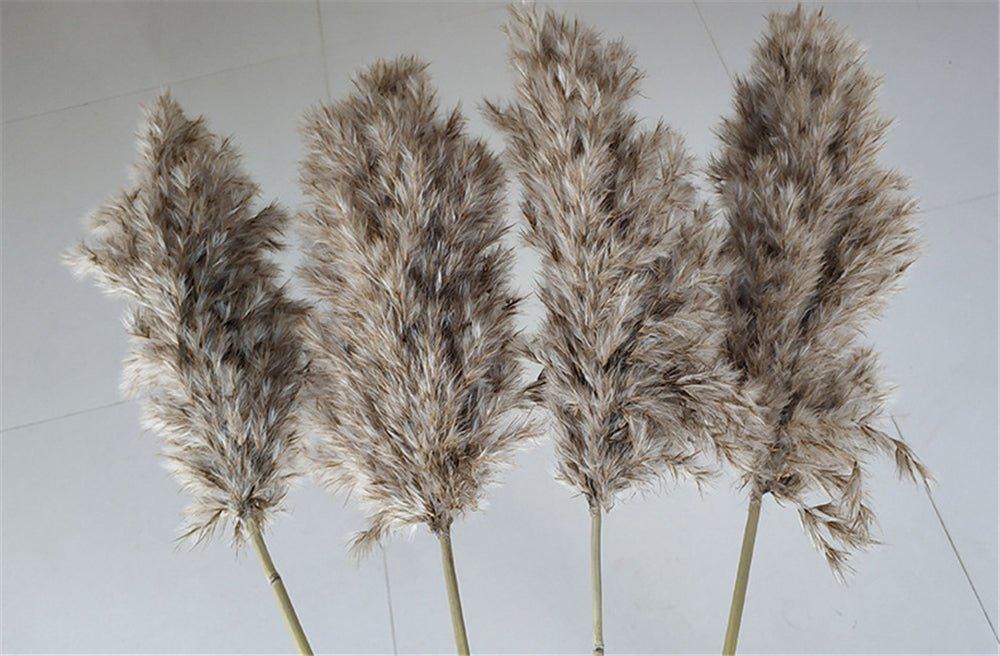 BowLift | 60 cm natural, real, brown-beige dried pampas grass bouquet │ fluffy feather for modern boho home decoration