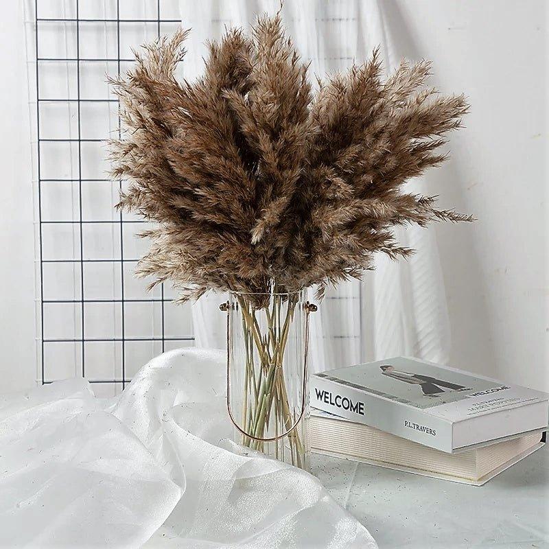 BowLift | 60 cm natural, real, brown-beige dried pampas grass bouquet │ fluffy feather for modern boho home decoration