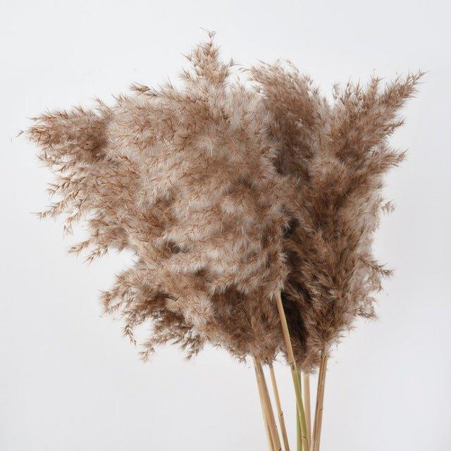 BowLift | 60 cm natural, real, brown-beige dried pampas grass bouquet │ fluffy feather for modern boho home decoration
