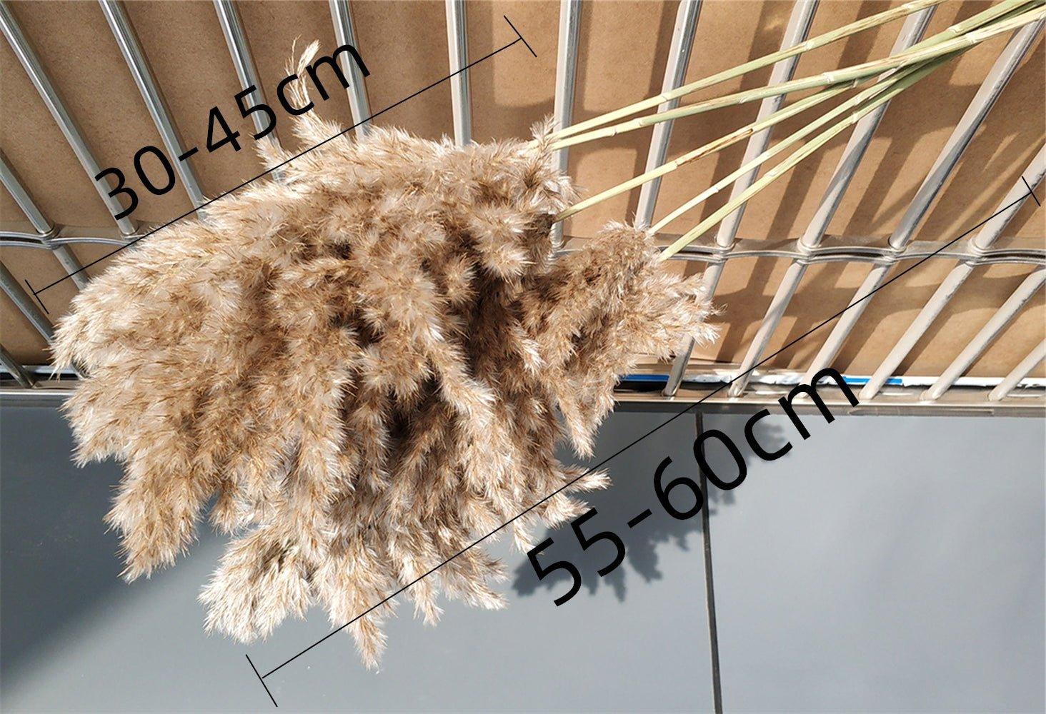 BowLift | 60 cm natural, real, brown-beige dried pampas grass bouquet │ fluffy feather for modern boho home decoration
