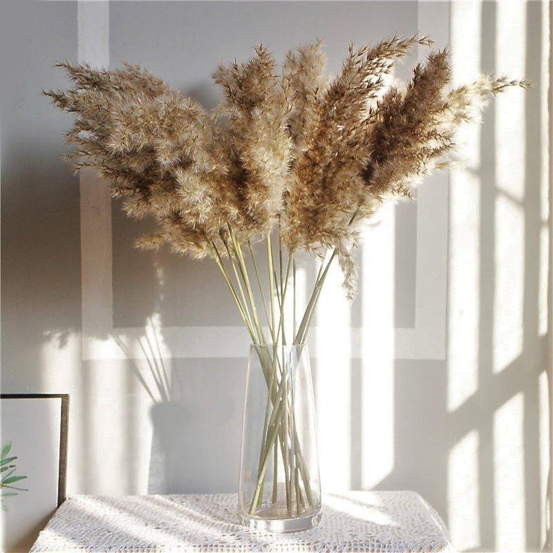 BowLift | 60 cm natural, real, brown-beige dried pampas grass bouquet │ fluffy feather for modern boho home decoration